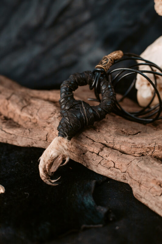 Long Eared Owl Claw Amulet with Raw Quartz